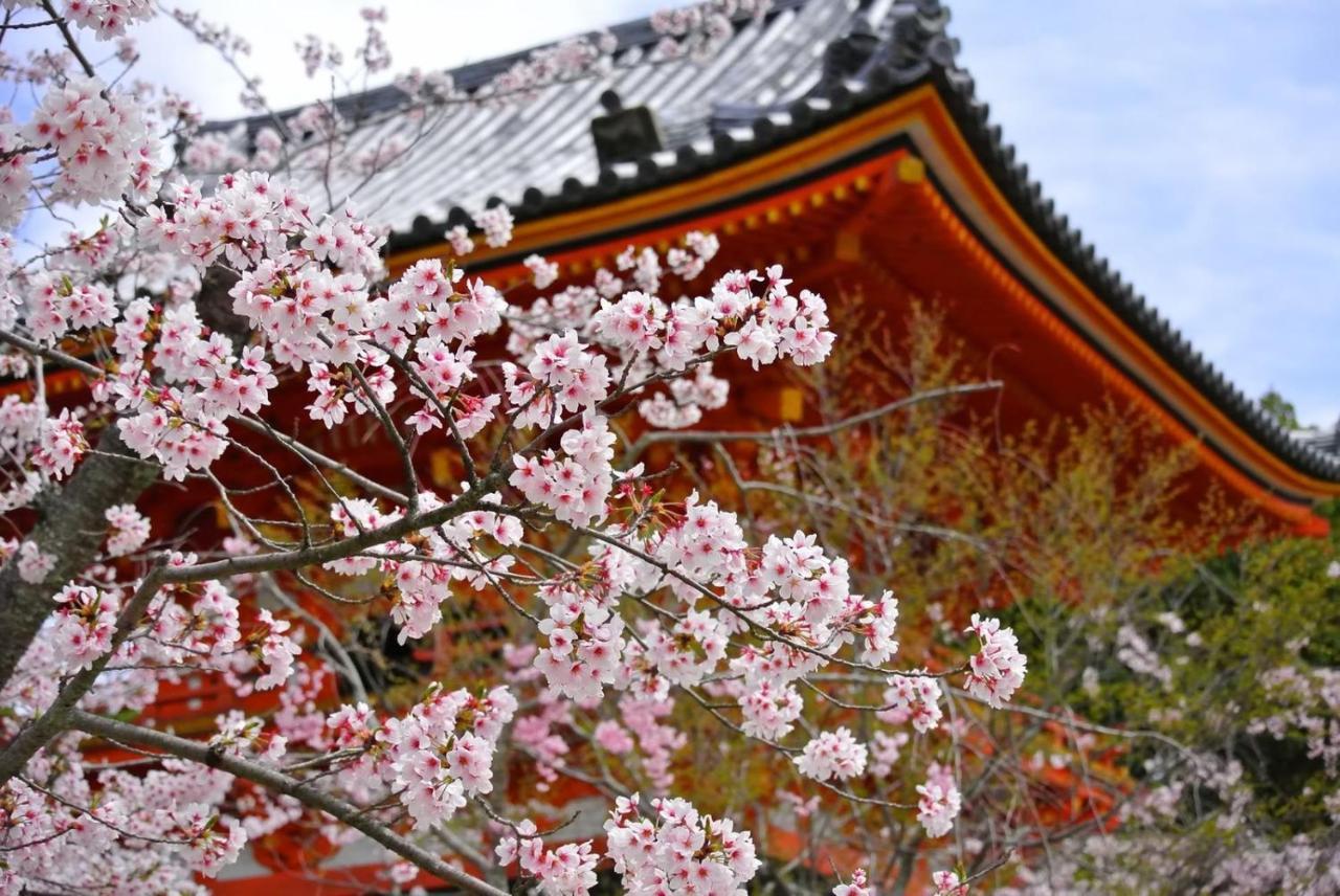 Stay Sakura Kyoto Gion North Kültér fotó